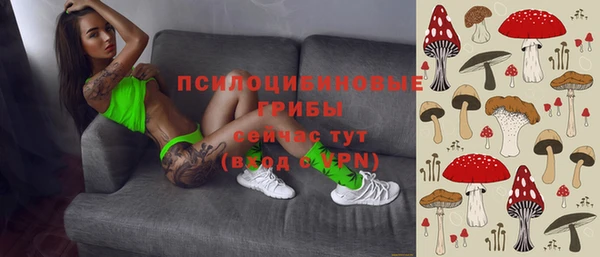 дурь Михайлов