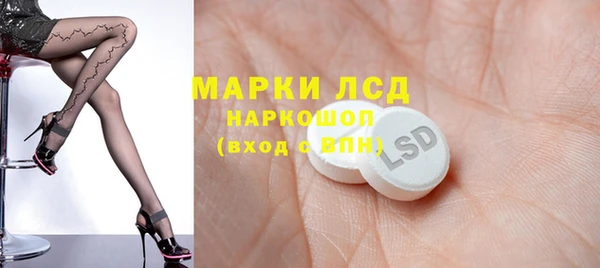 apvp Магадан