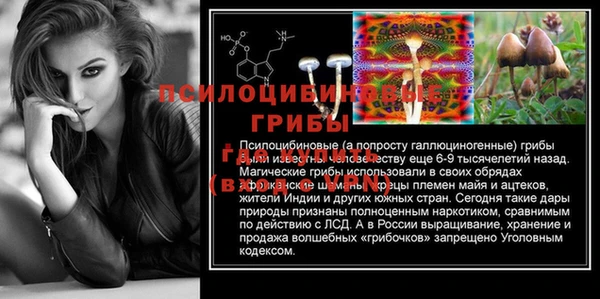 apvp Магадан