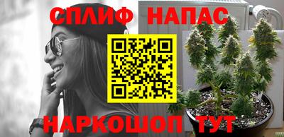 стафф Донской
