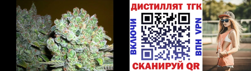 ТГК Wax  Лабинск 