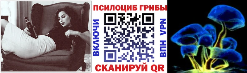 блэк спрут онион Лабинск нарко площадка как зайти Галлюциногенные грибы Psilocybe